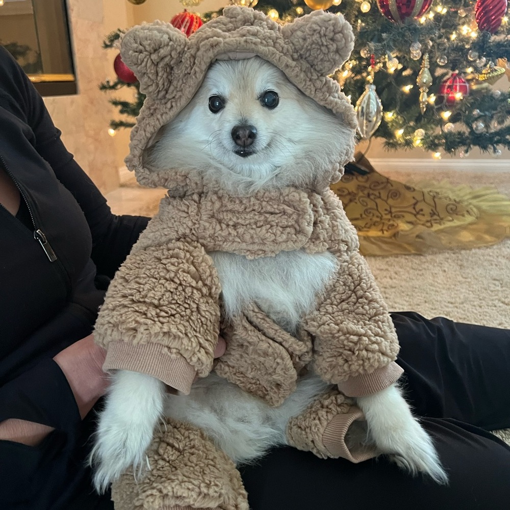 ugg sherpa hooded dog pajama